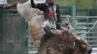 Little Belt Cowboys PRCA (Belt PRCA Rodeo) : Event Image